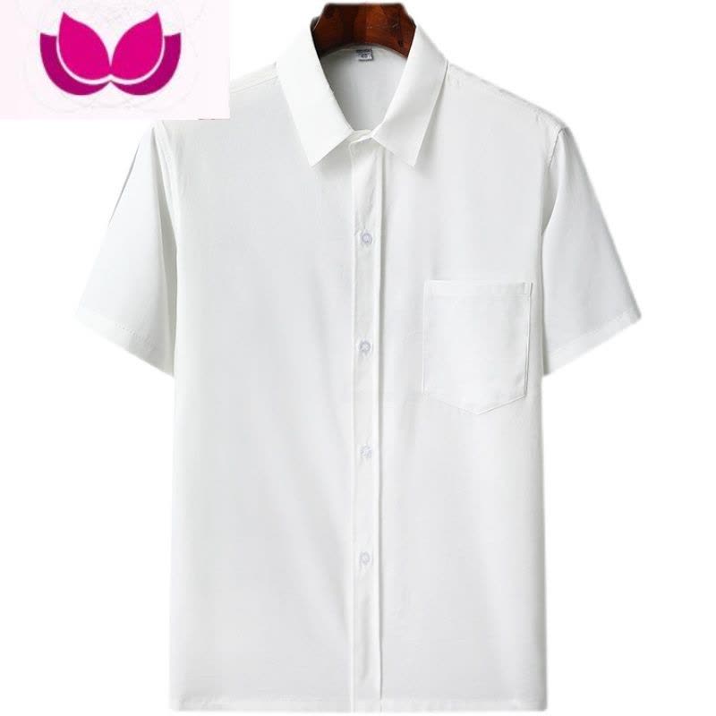 七斓中老年男士短袖休闲衬衫夏季宽松冰丝纽扣商务衬衣老人爷爷爸爸装图片