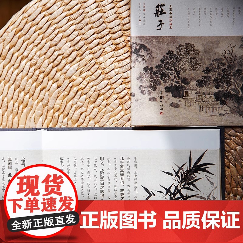 [插画版]庄子:王宠小楷珍藏本注释译文版庄周著国学经典书籍中国哲学传统文化人生励志修养全书庄子的智慧老子庄子道家经典著作高清大图