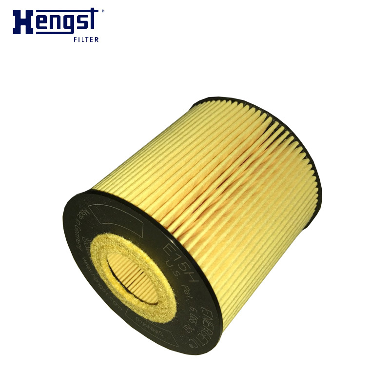 汉格斯特(hengst)机油格滤清器纸芯E15H D58适用于沃尔沃S40/S80 XC90