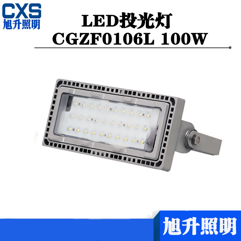 旭升CXS CGZF0106L IP65 AC220V 5000K LED投光灯 白色 100W高清大图