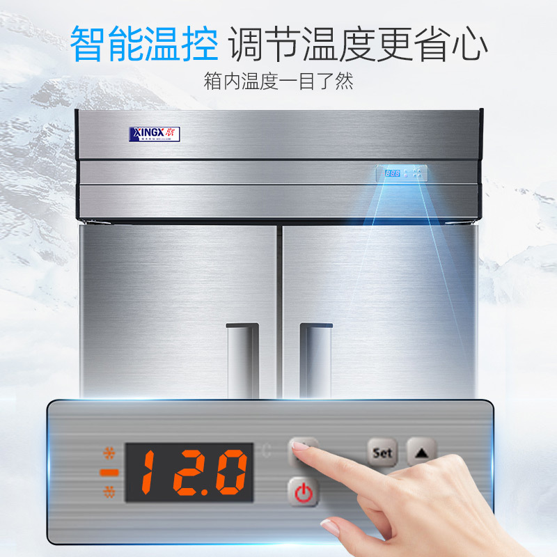 星星(XINGX)厨房冰箱商用展示柜全冷冻冰柜商用立式不锈钢餐饮店后厨BD-840E