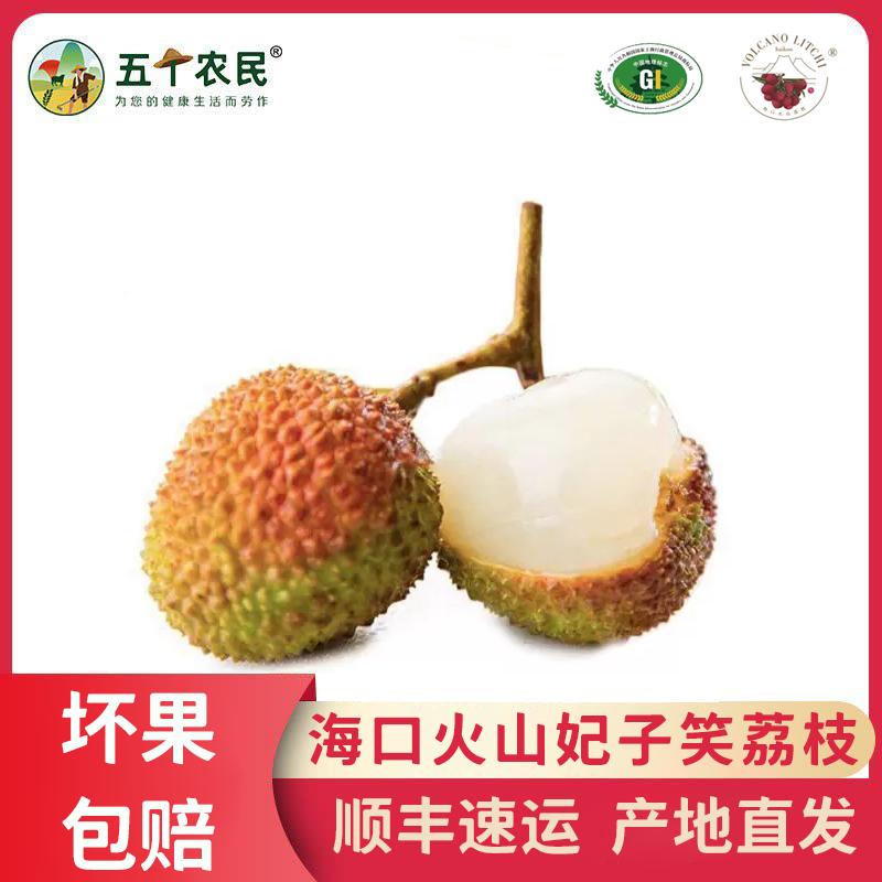 [五个农民]顺丰速运 海口火山妃子笑荔枝 带箱1斤精选装 单果20g左右 应季新鲜水果