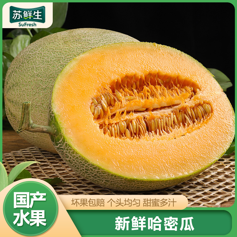 【苏鲜生】新鲜哈密瓜 净重4.5斤 1-3个 应季水果 新鲜甜瓜 鲜果