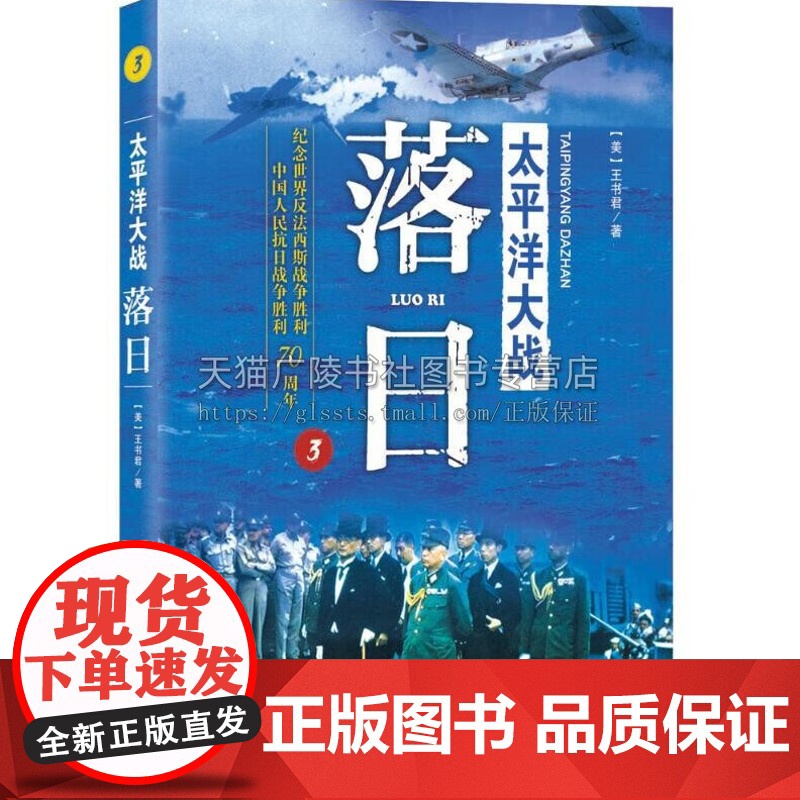 太平洋大战 落日(3)南太平洋空中作战 国际军事 海洋出版社
