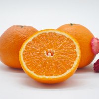 芮瑞 四川特产 青见 柑橘脐橙大果1500g 新鲜水果