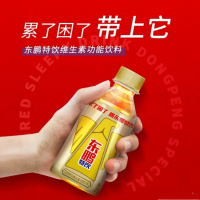 东鹏特饮维生素功能饮料250ml*2小瓶便携装熬夜抗疲劳提神饮品