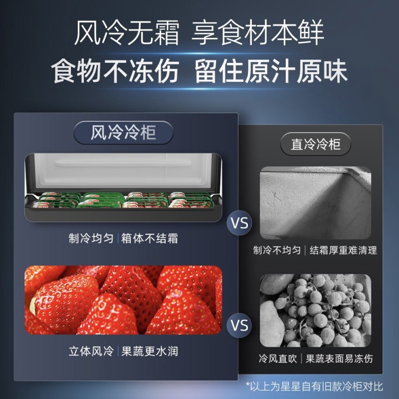 星星BD/BC-245WKA风冷商用保鲜冰箱245升1级能效节能高清大图