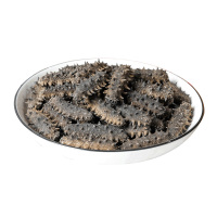 千舟岛珍品淡干海参250g 30-45只 甄选品质干货海参刺参