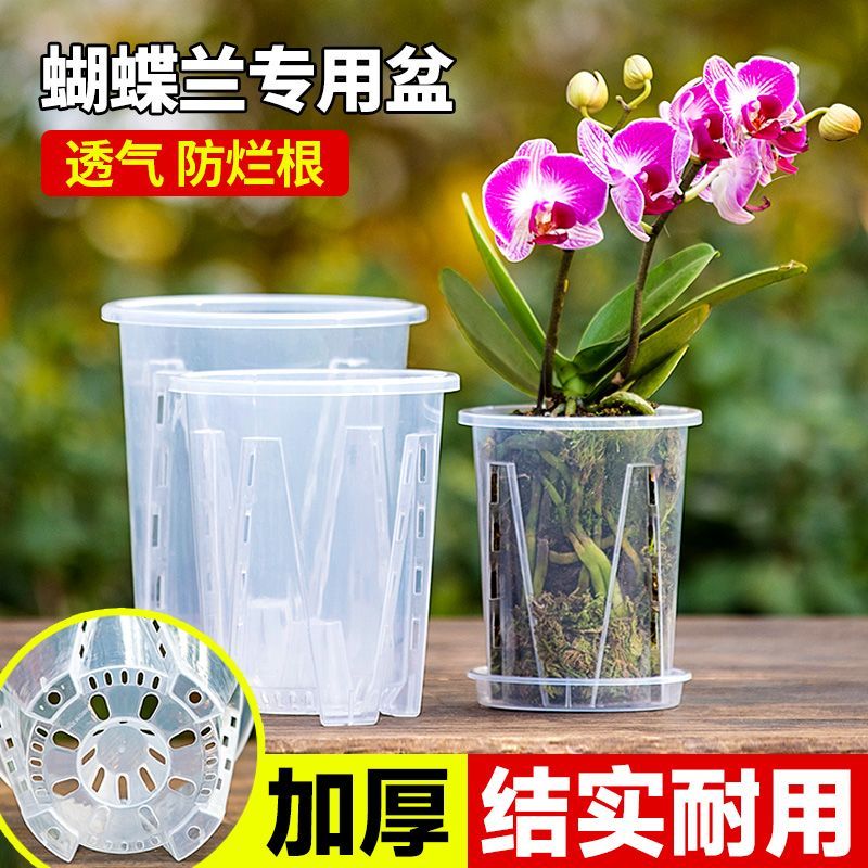 蝴蝶兰专用花盆空气柱透明青山盆特大号大口径塑料圆形桌面高花盆-外径10CM;5个装-带托盘高清大图