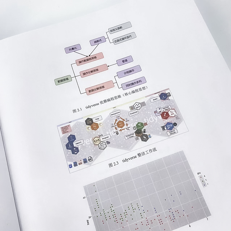 [正版]出版社R语言编程 基于tidyverse r语言编程数据分析编程入门零基础自学人工智能爬虫机器学习ggplot代