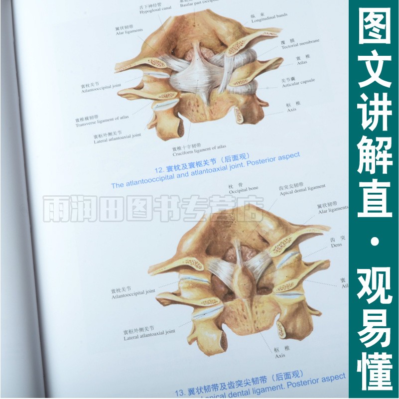 [醉染正版]正版 人体解剖彩色图谱第三版第3版郭光文人体解剖第二版升级版实用人体解剖图谱系统解剖学医学全彩局部解剖学高清大图