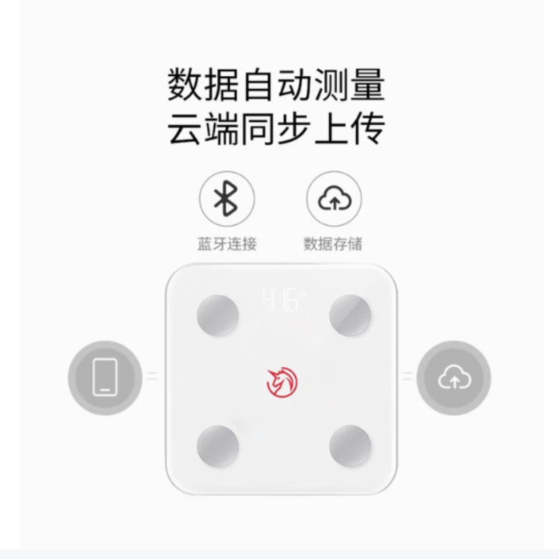 野小兽(YESOUL)动感单车健身器材配件小礼物 yesoul体脂秤BS12高清大图