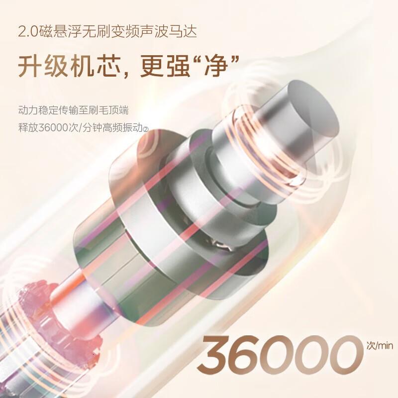 美的(Midea)电动牙刷声波震动180天长续航智能换区提醒净白呵护软毛刷头S5薄荷绿塔罗牌2支刷头