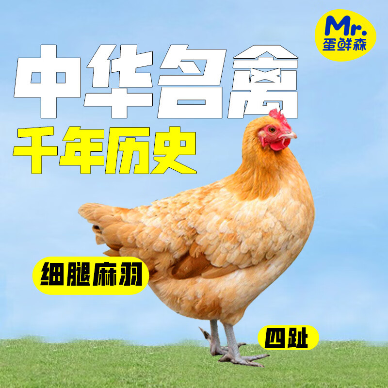 蛋鲜森 金奖肥西老母鸡1只生鲜禽类2斤装含黄油 顺丰源头直发 黄油老母鸡 1只装高清大图