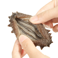 【买一斤送一斤】星龙港 即食海参 500g7-10只 大连深海刺参底播辽刺参家庭装