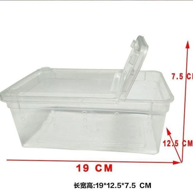 透气饲养盒1个 养蚕工具蚕宝宝套装小蚕饲养盒蚕卵孵化盒分养盒羽毛结茧网抽丝