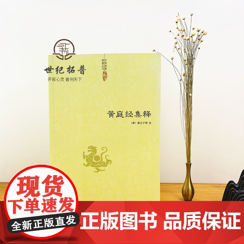 正版 黄庭经集释 中国道教典籍丛刊 太上黄庭经集注道教精粹神仙传校释南华真经注疏 中央编译出版社高清大图