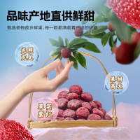 来伊份陈皮杨梅王300g 东魁大果水果干蜜饯果脯梅干话梅零食独立包装