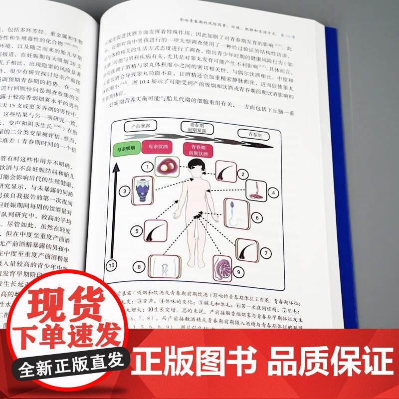 儿童和青少年男科学 主译 谢远志 沙艳伟 9787523213407 世界图书西安 男性生殖系统发育过程中的遗传学基础与高清大图