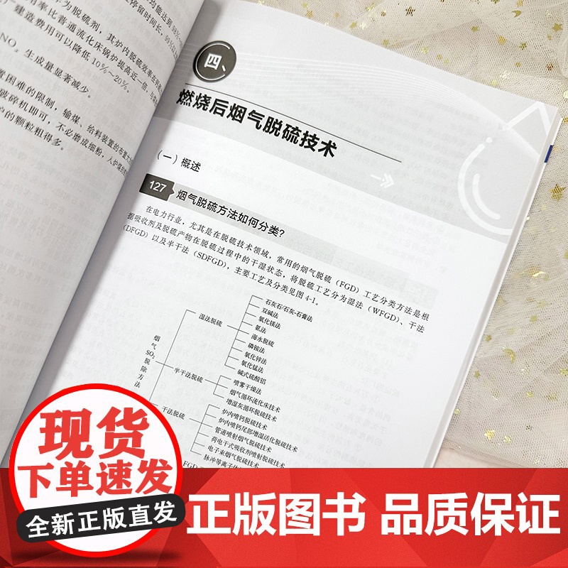 工业脱硫脱硝技术 环境工程实用技术丛书 工业烟气脱硫脱硝 工业废气处理技术人员培训用书 工业脱硫脱硝污染治理及控制技术参高清大图