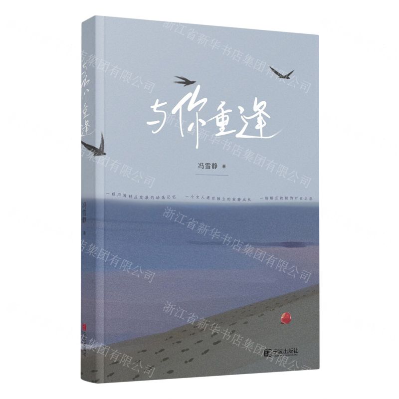 【N】与你重逢-9787552650273