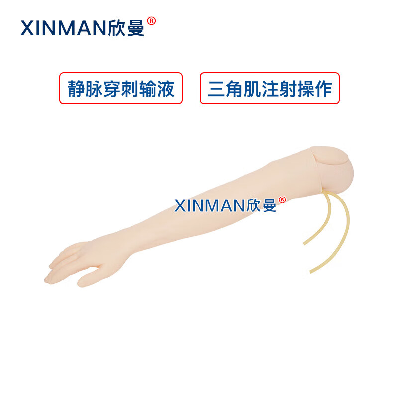 欣曼科教 静脉输液模拟训练模块 静脉穿刺输液手臂及肌肉注射模型XM-S1010高清大图