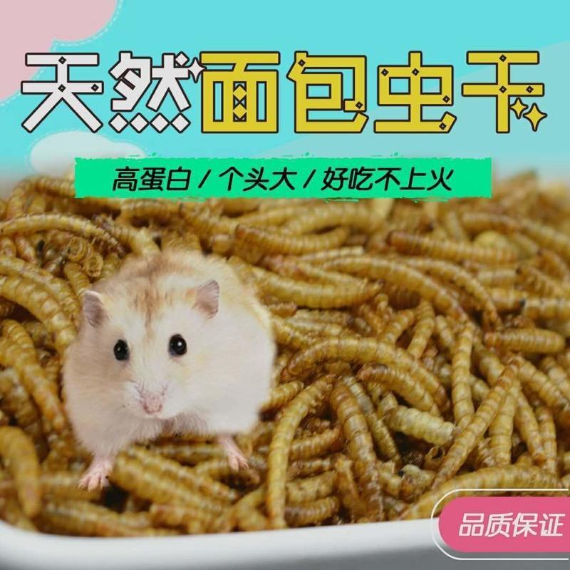大罐装(500毫升/130克) 面包虫干黄粉虫仓鼠松鼠蜜袋鼯刺猬龙猫鸟爬宠营养蛋白质香脆罐装