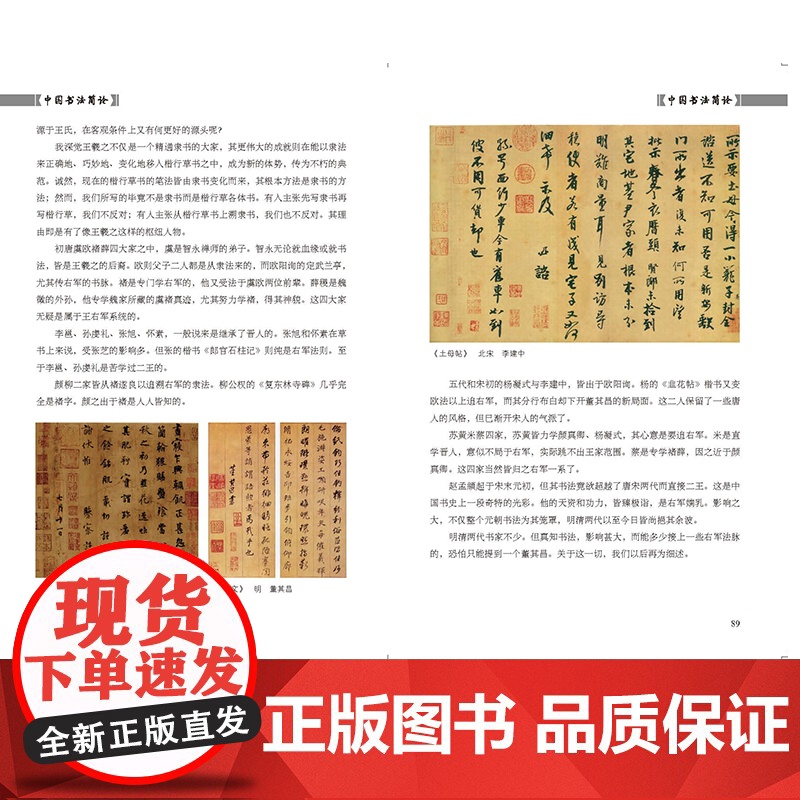 民国书法名家艺丛中国书法简论 潘伯鹰著书法篆刻临摹教程学习书法入门教程书籍初学自学书法练习教材竖排字体 上海人民美术出版高清大图