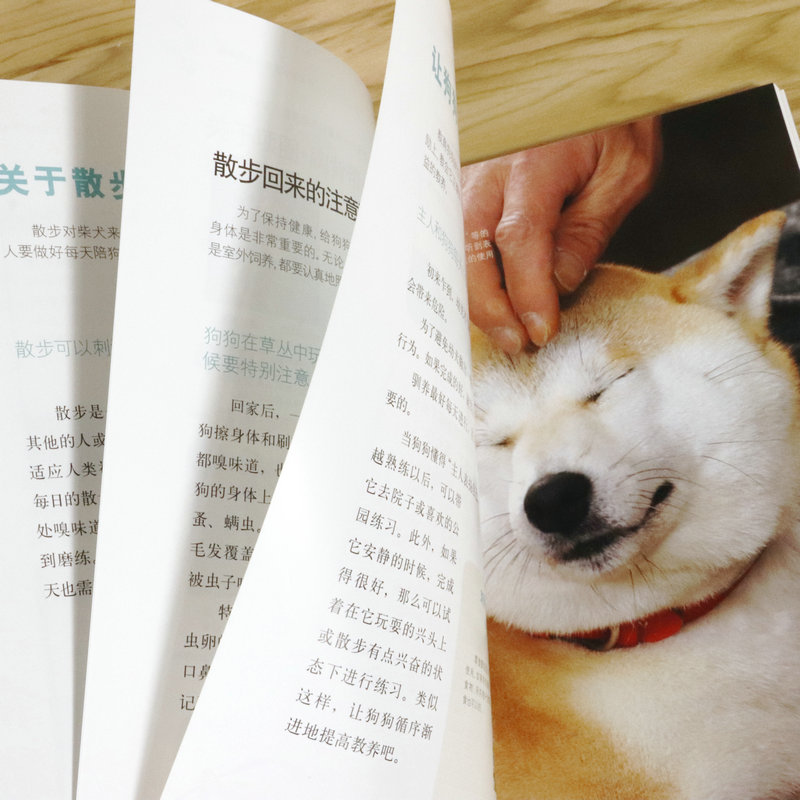 [醉染正版]柴犬养护全程指导 全彩图解柴犬饲养方法养护全程指导宠物狗喂养实用手册新手入门狗狗的日常护理与驯养一本书读懂你高清大图