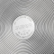 苏泊尔(SUPOR)22cm蒸滋味蒸煮多用锅SZ22S1