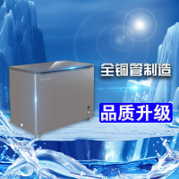 华美(Huamei)BC/BD-220升商用玻璃嵌入式冰柜 卧式冷柜 冷藏冷冻转换展示柜 卧式顶开冰柜