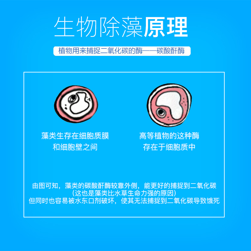 鱼缸除苔剂水质清澈剂观赏鱼净化液体除苔剂非药水净水剂高清大图