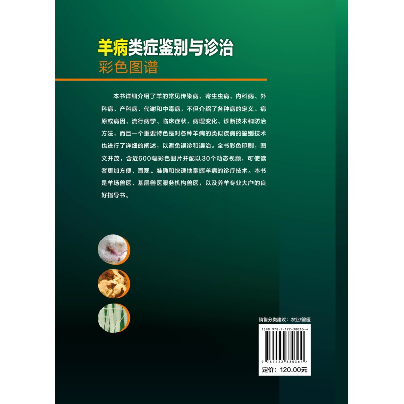 [醉染正版]正版 羊病类症鉴别与诊治彩色图谱 1化学工业出版社 马玉忠 主编高清大图