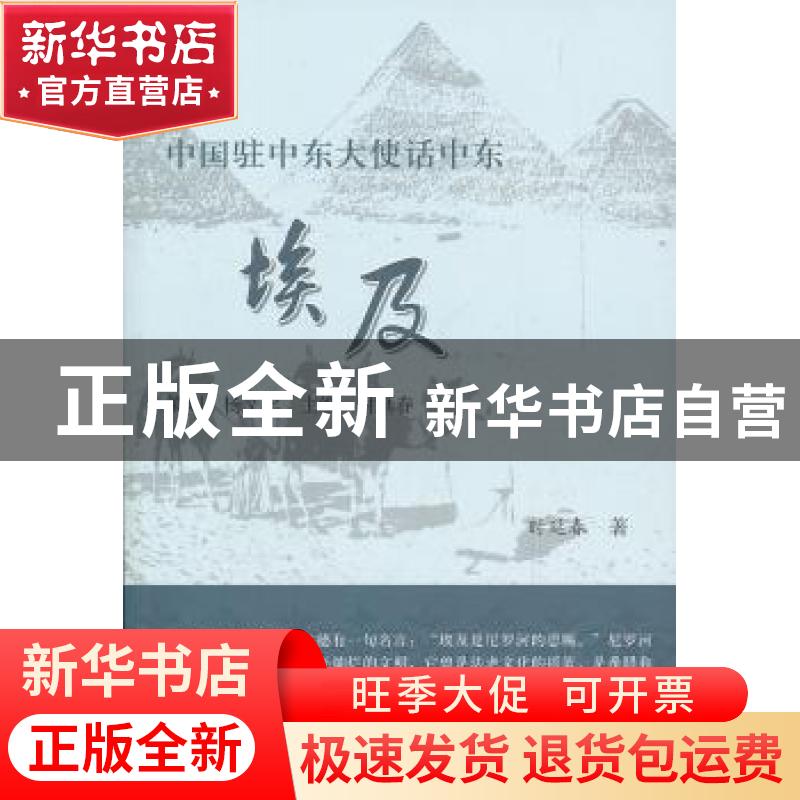 正版 埃及 时延春著 世界知识出版社 9787501242047 书籍高清大图