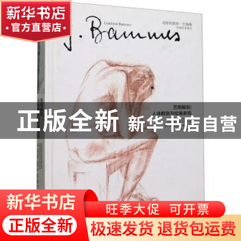正版 艺用解剖:人体解剖与绘画表现:Und Bildnerischer Ausdruck高清大图