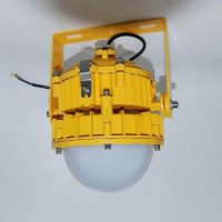 防爆LED壁灯(带应急功能) BPE8767 50W