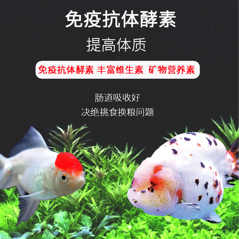 鱼食兰寿金鱼专用饲料泰狮狮子头高蛋白沉底下沉型小颗粒家用鱼粮高清大图