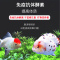 鱼食兰寿金鱼专用饲料泰狮狮子头高蛋白沉底下沉型小颗粒家用鱼粮