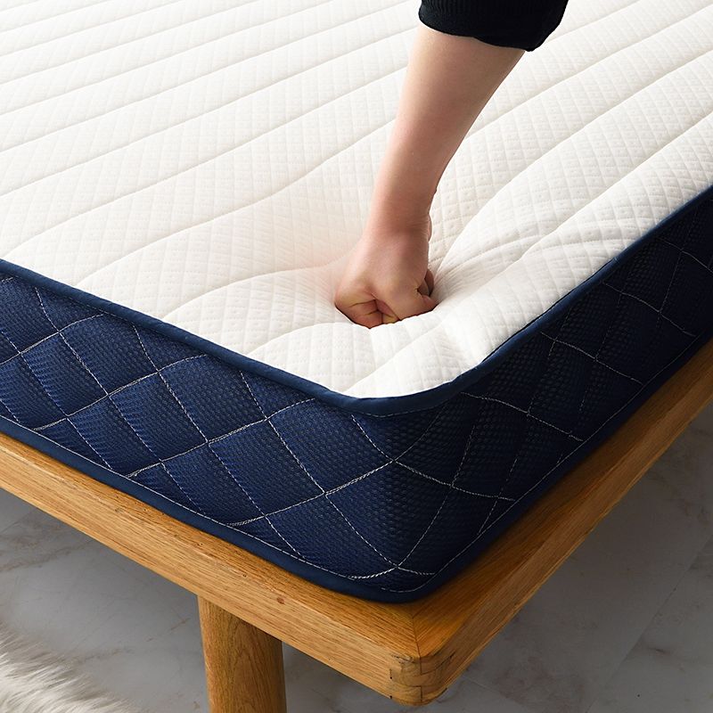 床垫软垫学生宿舍单人榻榻米垫子海绵垫垫被褥子租房专用加厚睡垫