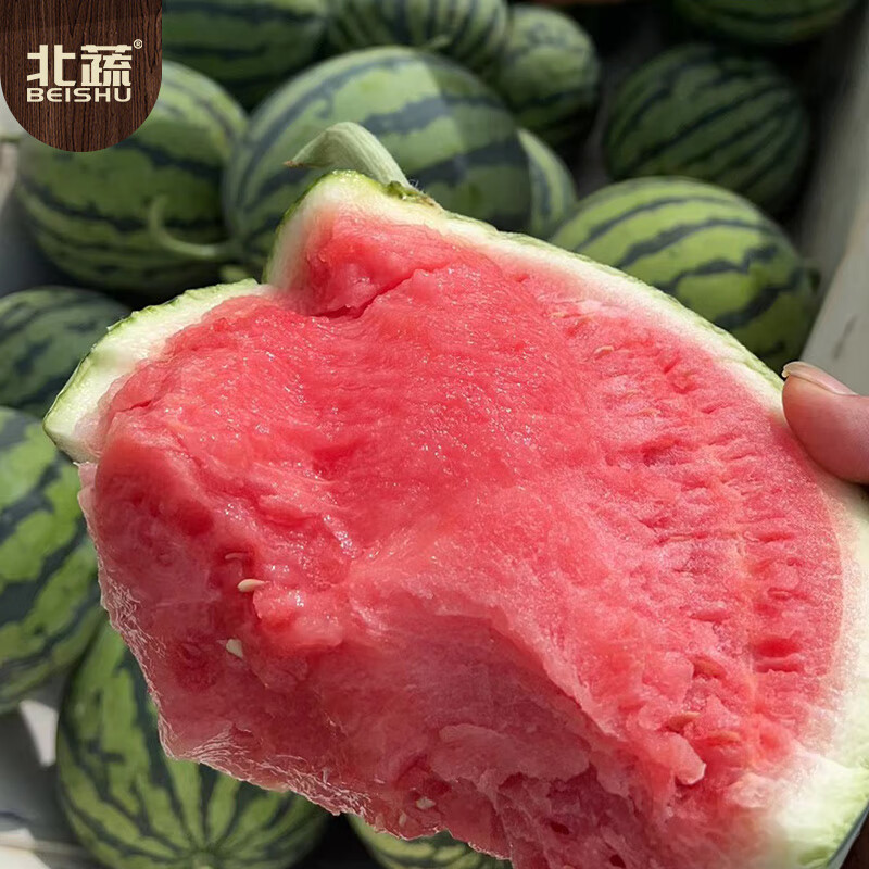 麒麟8424冰糖甜西瓜种子 60粒/袋高清大图