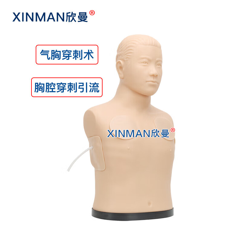欣曼科教 胸腔穿刺引流模型 胸腔穿刺模拟训练模块XM-2021高清大图