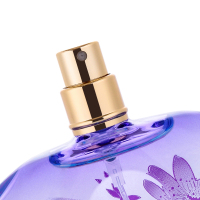 意大利菲拉格慕(Ferragamo)梦中彩虹女士淡香水30ml 淡香氛清新迷人芳香