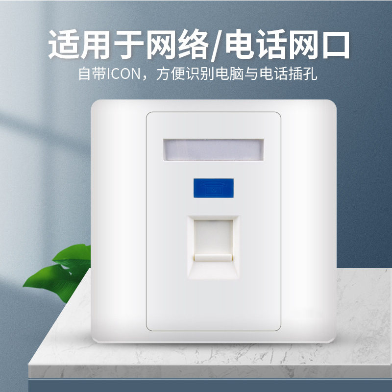 中泓汇达(ZHHD)2口 网络接口模块 插座网络面板(带模块)