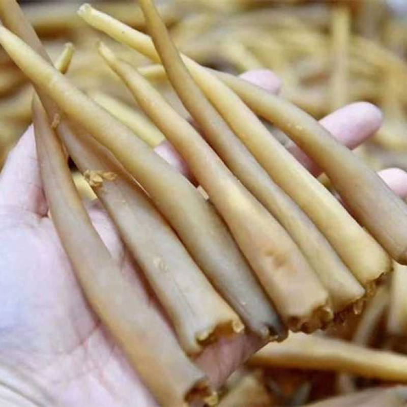 象拔蚌 海产干货 淡晒 海笋贝 象牙蚌 象鼻蚌 海棒干 海鲜 贝类 海鲜