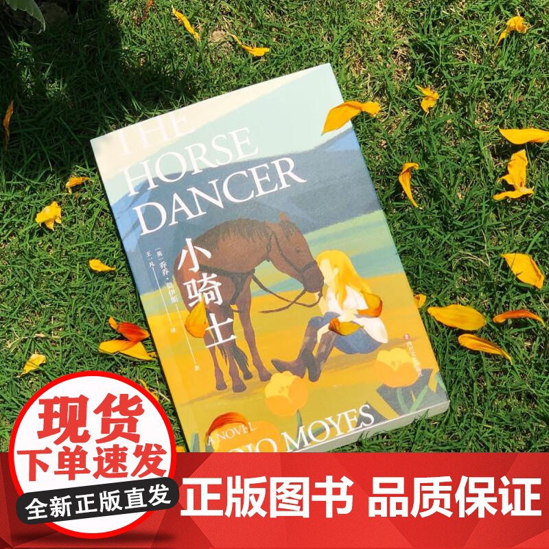 小骑士 乔乔 莫伊斯 外国小说 成长 情感 那时的她还太小 还不懂得利弊 妥协和放弃梦想 果麦文化高清大图