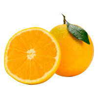 【齐鲁浩华】夏橙 酸甜橙子新鲜春橙非脐橙单果120-150g 5斤装