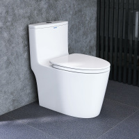 安华马桶家用小户型节水坐便器NL13001/305/109