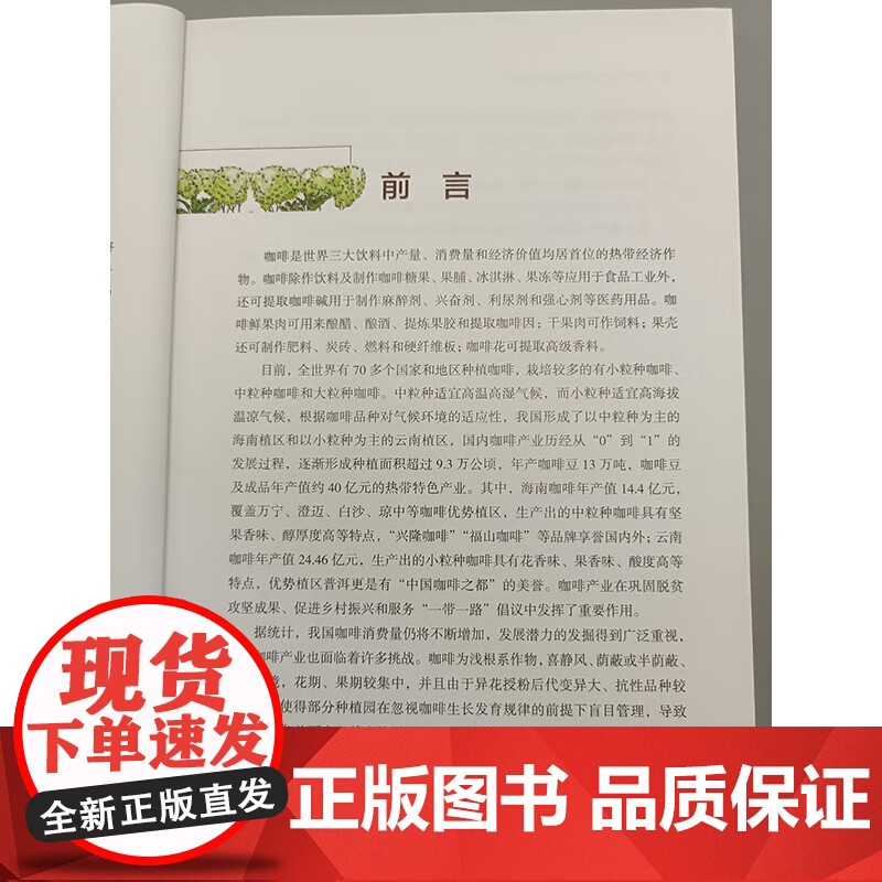 咖啡低产园改造技术彩色图解 孙燕,张昂,董云萍主编 中国农业科学技术出版社9787511666208高清大图