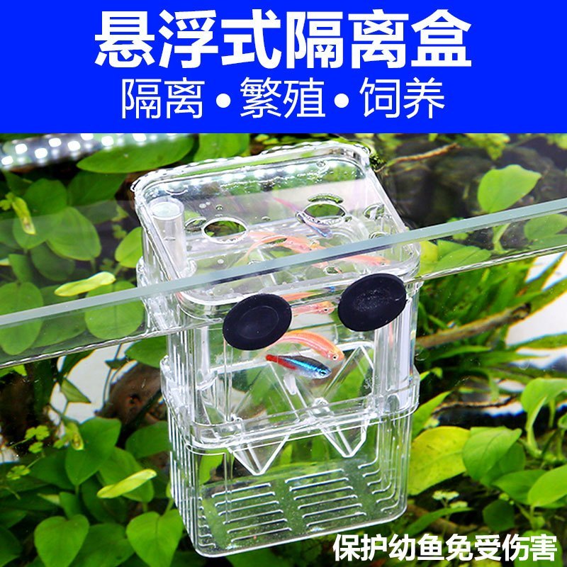 孔雀鱼繁殖盒幼鱼鱼缸隔离斗鱼鱼苗产卵器热带鱼亚克力