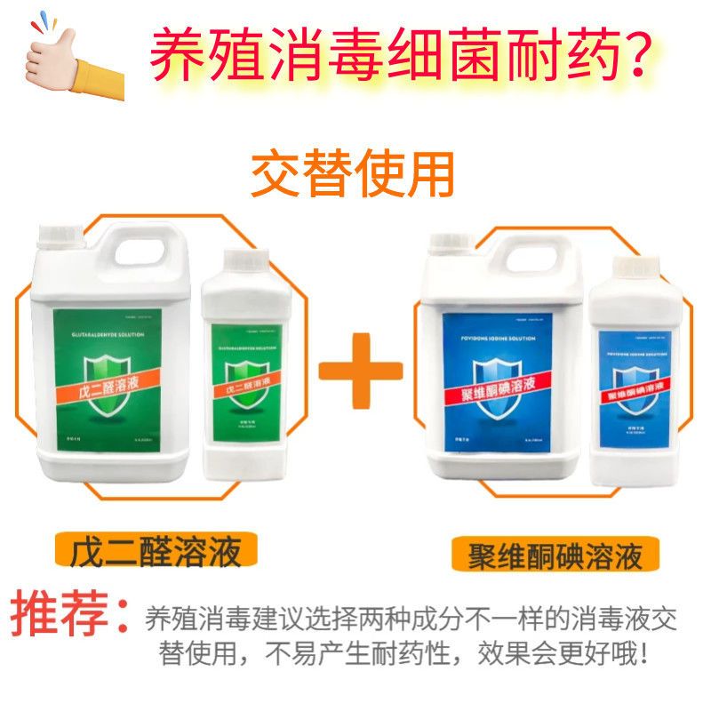 羊圈消毒液羊场消毒液孕羊小羊消毒水羊舍消毒剂消毒液杀菌兽用羊 戊二醛(2斤)特惠装